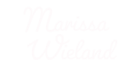 The website logo that is located in the header and is also used as a home button.